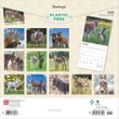 2025 Donkey Calendar