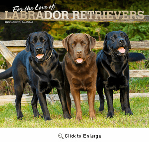2025 For the Love of Black Labrador Retrievers Deluxe Calendar