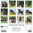 2025 Friesians Calendar Willow Creek