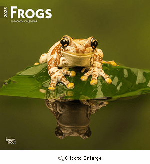 2025 Frogs Calendar