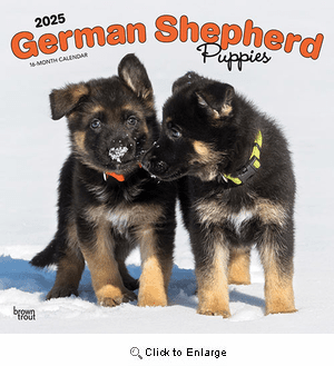German Shepherd Puppies Calendar 2025|Animal Den