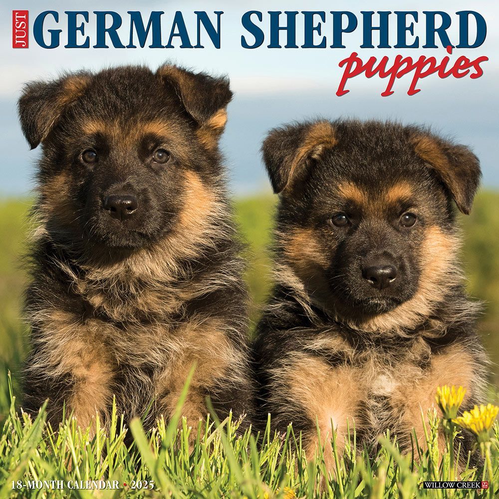 2025 German Shepherd Puppies Calendar Willow Creek