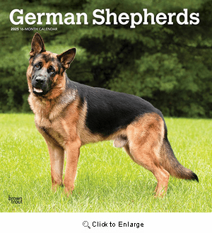 2025 German Shepherds Calendar