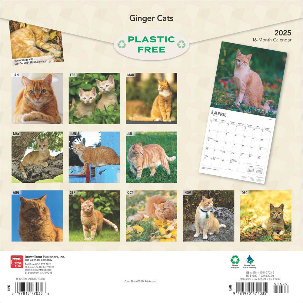Ginger Cats Calendar 2025Animal Den