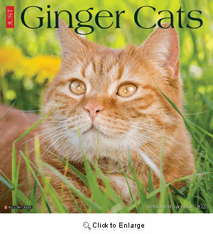 2025 Ginger Cats Calendar Willow Creek