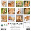 2025 Ginger Cats Calendar Willow Creek