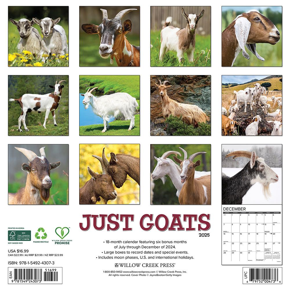 Goats Calendar 2025 Willow