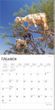 2025 Goats in Trees Calendar