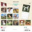 2025 Goldendoodle Calendar Brown Trout