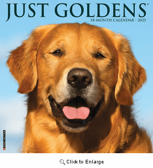 2025 Goldens Calendar