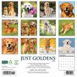 2025 Goldens Calendar