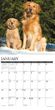 2025 Goldens Calendar