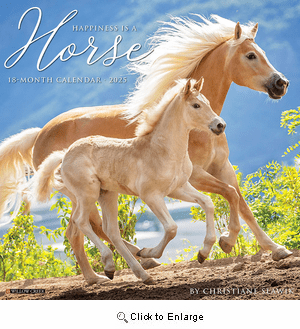 2025 Happiness is a Horse Calendar