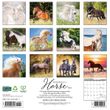 2025 Happiness is a Horse Calendar