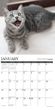 2025 Happy Cats Calendar