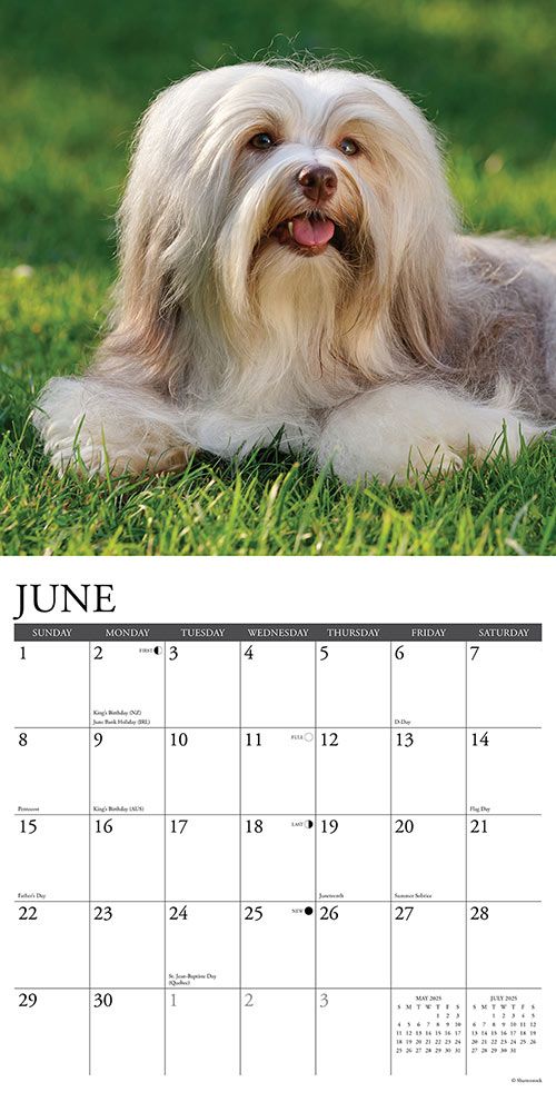 Havanese Calendar