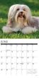 2025 Havanese Calendar