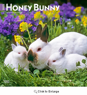 2025 Honey Bunny Calendar Brown Trout