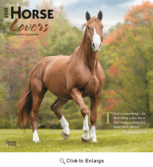 2025 Horse Lovers Calendar