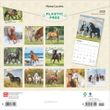 2025 Horse Lovers Calendar