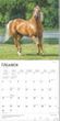 2025 Horse Lovers Calendar