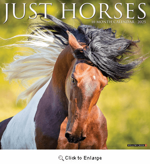 2025 Horses Calendar Willow Creek
