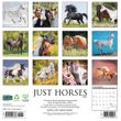 2025 Horses Calendar Willow Creek