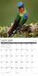 2025 Hummingbirds Calendar Willow Creek