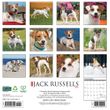 2025 Jack Russells Calendar Willow Creek
