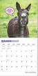 2025 Jackasses Calendar