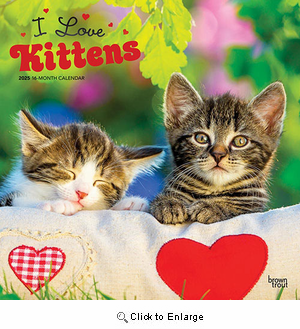 2025 Kittens Calendar