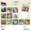 2025 Kittens Calendar
