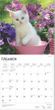 2025 Kittens Calendar
