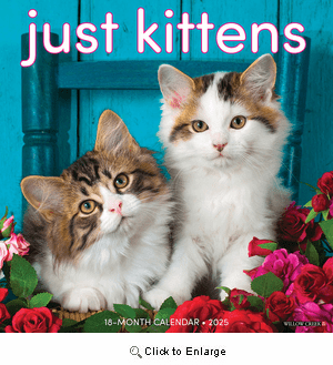2025 Kittens Calendar Willow Creek