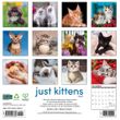 2025 Kittens Calendar Willow Creek