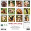 2025 Labradoodles Calendar