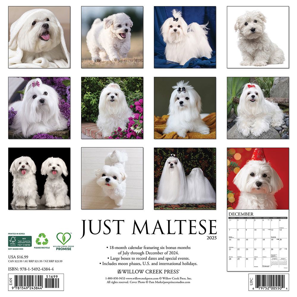 Maltese Calendar 2025 Willow