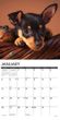 2025 Miniature Pinscher Calendar Willow Creek