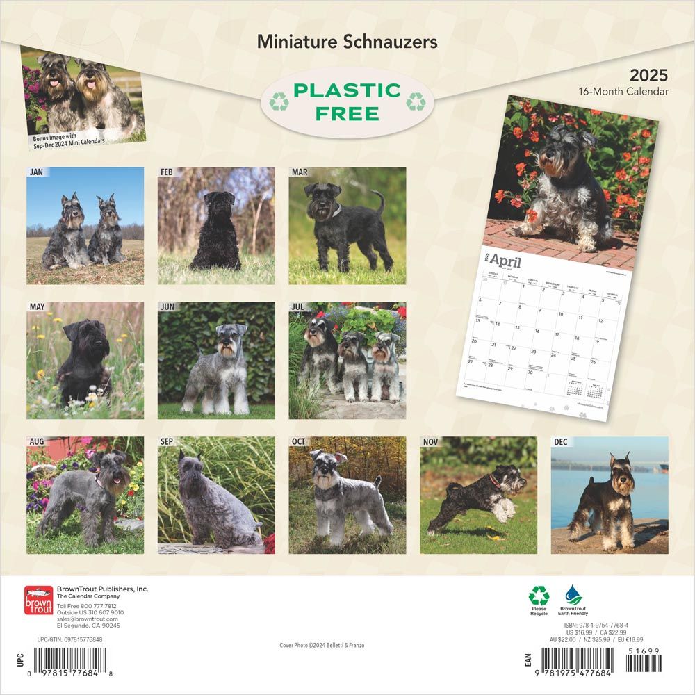 Miniature Schnauzer Calendar 2025Animal Den