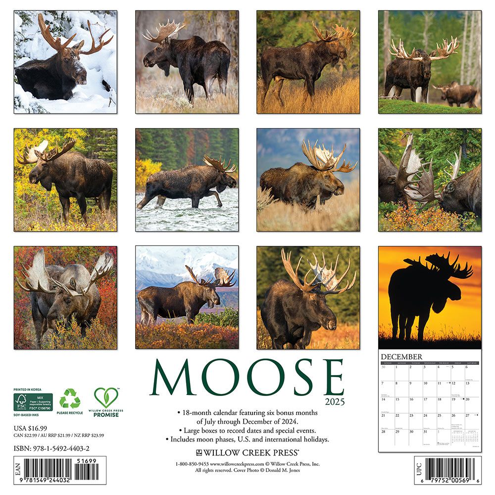 moose-calendar-2025-willow-creek-animalden-com