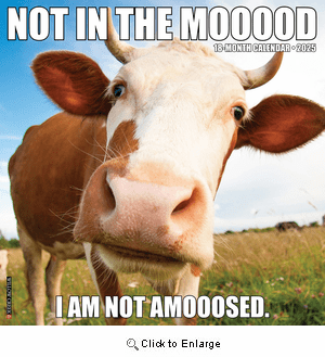 2025 Not in the Mooood Calendar  Willow Creek