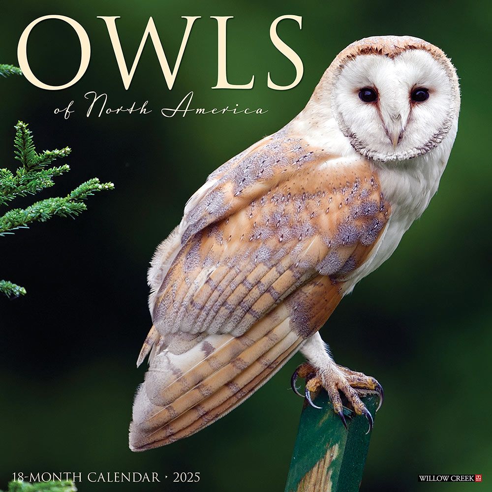 2025 Owls Calendar Willow Creek