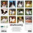 2025 Papillons Calendar Willow Creek