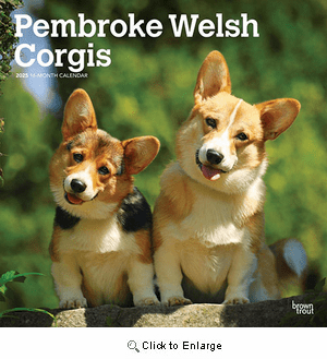 2025 Pembroke Welsh Corgis Calendar