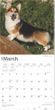 2025 Pembroke Welsh Corgis Calendar