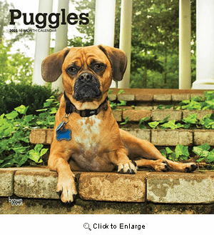 2025 Puggle Calendar