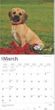 2025 Puggle Calendar