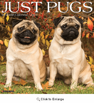 2025 Pugs Calendar Willow Creek