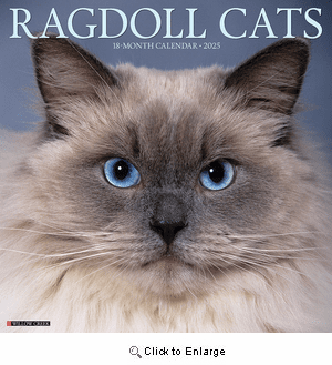 2025 Ragdoll Cats Calendar Willow Creek