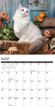 2025 Ragdoll Cats Calendar Willow Creek